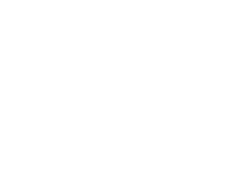 Watermark