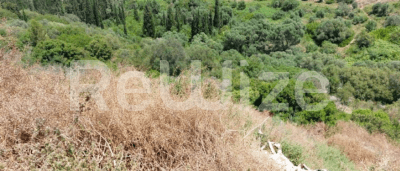 Photo 1,Εξωτερική,ΕΝΟΙΚΊΑΣΗ,Γη,Αγροτεμάχιο,6678τ.μ,€3,000,Ληξούρι