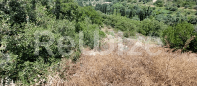 Photo 3,Εξωτερική,ΕΝΟΙΚΊΑΣΗ,Γη,Αγροτεμάχιο,6678τ.μ,€3,000,Ληξούρι