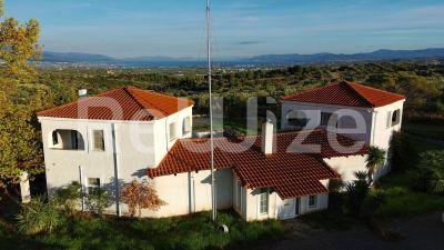 Photo 3,Εξωτερική,ΠΏΛΗΣΗ,Κατοικία,Μονοκατοικία σε συγκρότημα,528τ.μ,€231,000,Βαθύ