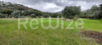 Photo 1,Εξωτερική,ΕΝΟΙΚΊΑΣΗ,Γη,Αγροτεμάχιο,5000τ.μ,€28,000,Αργοστόλι