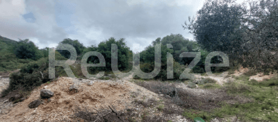 Photo 1,Εξωτερική,ΕΝΟΙΚΊΑΣΗ,Γη,Αγροτεμάχιο,4000τ.μ,€16,000,Αργοστόλι