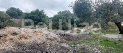 Photo 2,Εξωτερική,ΕΝΟΙΚΊΑΣΗ,Γη,Αγροτεμάχιο,4000τ.μ,€16,000,Αργοστόλι