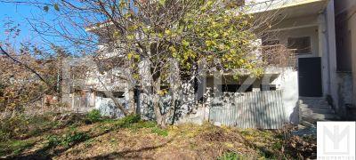 Photo 12,Κήπος,ΠΏΛΗΣΗ,Επαγγελματικό,Κτήριο,550τ.μ,€380,000,Εξοχή