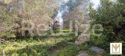 Photo 4,Εξωτερική,ΠΏΛΗΣΗ,Κατοικία,Μονοκατοικία,236τ.μ,€118,000,Πύδνα