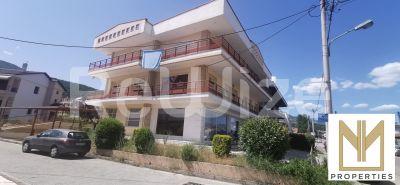 Photo 3,Εξωτερική,ΠΏΛΗΣΗ,Επαγγελματικό,Κατάστημα,418τ.μ,€212,000,Χλόη