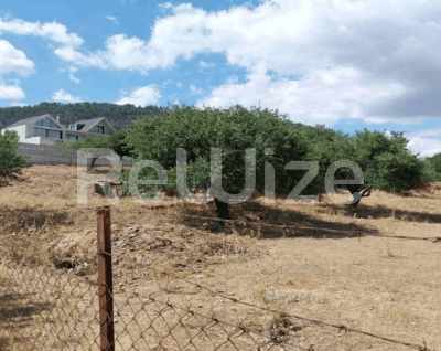 Photo 2,Πανοραμική Θέα,ΕΝΟΙΚΊΑΣΗ,Γη,Αγροτεμάχιο,8165τ.μ,€128,000,Τρίπολη