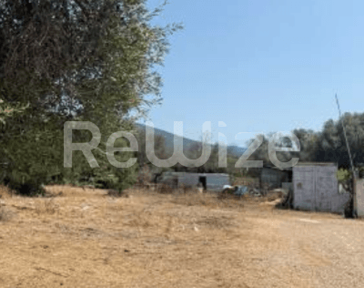 Photo 2,Κήπος,ΕΝΟΙΚΊΑΣΗ,Επαγγελματικό,Κτήριο,90τ.μ,€14,000,Αργοστόλι