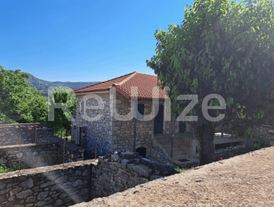 Photo 1,Εξωτερική,ΕΝΟΙΚΊΑΣΗ,Κατοικία,Μονοκατοικία,168τ.μ,€16,851,Τρίπολη