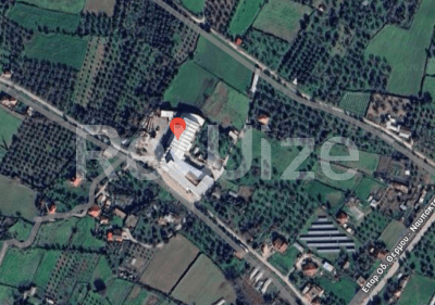 Photo 4,Μπαλκόνι,ΕΝΟΙΚΊΑΣΗ,Επαγγελματικό,Βιομηχανικό Κτίριο,2251τ.μ,€617,000,Μακρυνεία