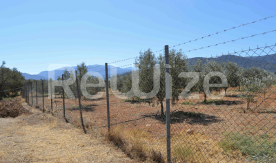 Photo 3,Εξωτερική,ΕΝΟΙΚΊΑΣΗ,Γη,Αγροτεμάχιο,25873τ.μ,€148,000,Βόρεια Κυνουρία