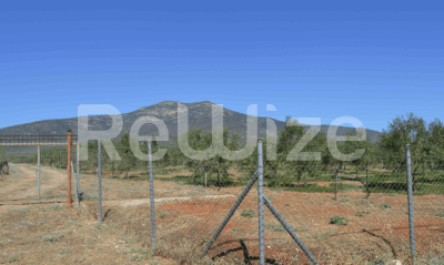 Photo 1,Θέα στο Βουνό,ΕΝΟΙΚΊΑΣΗ,Γη,Αγροτεμάχιο,25873τ.μ,€148,000,Βόρεια Κυνουρία