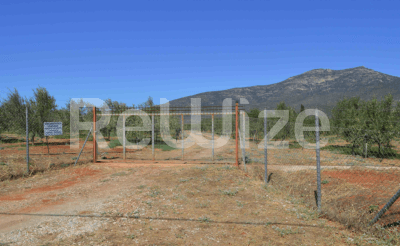 Photo 2,Θέα στο Βουνό,ΕΝΟΙΚΊΑΣΗ,Γη,Αγροτεμάχιο,25873τ.μ,€148,000,Βόρεια Κυνουρία