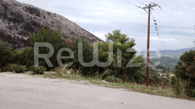 Photo 1,Εξωτερική,ΕΝΟΙΚΊΑΣΗ,Γη,Αγροτεμάχιο,204791τ.μ,€110,000,Ζάκυνθος