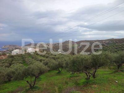 Photo 8,Θέα στη θάλασσα,ΠΏΛΗΣΗ,Γη,Οικόπεδο,8486τ.μ,€440,000,Αγία Πελαγία
