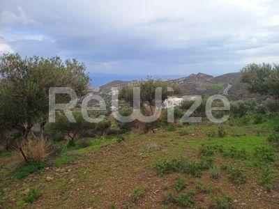 Photo 10,Εξωτερική,ΠΏΛΗΣΗ,Γη,Οικόπεδο,8486τ.μ,€440,000,Αγία Πελαγία