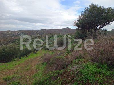 Photo 12,Εξωτερική,ΠΏΛΗΣΗ,Γη,Οικόπεδο,8486τ.μ,€440,000,Αγία Πελαγία