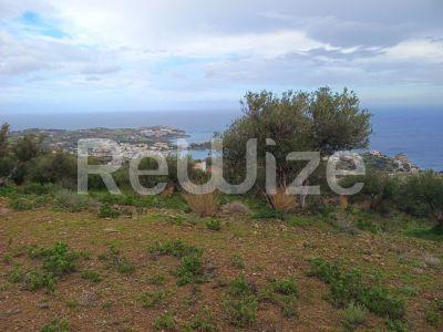 Photo 3,Θέα στη θάλασσα,ΠΏΛΗΣΗ,Γη,Οικόπεδο,8486τ.μ,€440,000,Αγία Πελαγία