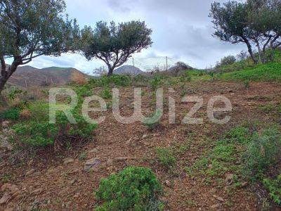 Photo 11,Εξωτερική,ΠΏΛΗΣΗ,Γη,Οικόπεδο,8486τ.μ,€440,000,Αγία Πελαγία