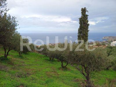 Photo 7,Θέα στη θάλασσα,ΠΏΛΗΣΗ,Γη,Οικόπεδο,8486τ.μ,€440,000,Αγία Πελαγία