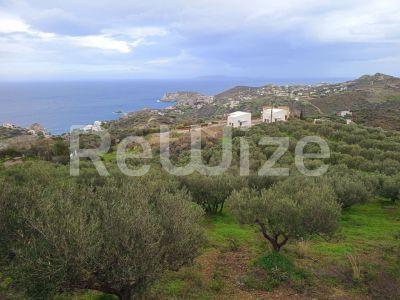 Photo 9,Θέα στη θάλασσα,ΠΏΛΗΣΗ,Γη,Οικόπεδο,8486τ.μ,€440,000,Αγία Πελαγία