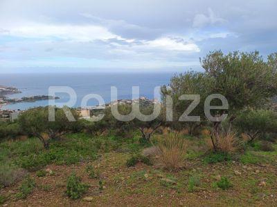 Photo 2,Θέα στη θάλασσα,ΠΏΛΗΣΗ,Γη,Οικόπεδο,8486τ.μ,€440,000,Αγία Πελαγία