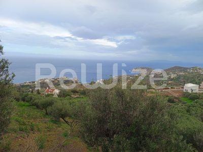 Photo 4,Θέα στη θάλασσα,ΠΏΛΗΣΗ,Γη,Οικόπεδο,8486τ.μ,€440,000,Αγία Πελαγία