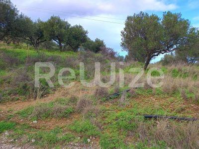Photo 14,Εξωτερική,ΠΏΛΗΣΗ,Γη,Οικόπεδο,8486τ.μ,€440,000,Αγία Πελαγία