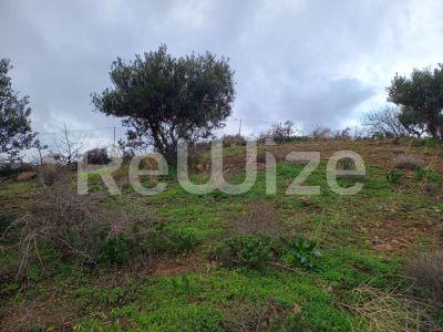 Photo 15,Εξωτερική,ΠΏΛΗΣΗ,Γη,Οικόπεδο,8486τ.μ,€440,000,Αγία Πελαγία