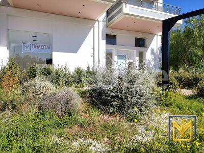 Photo 14,Εξωτερική,ΠΏΛΗΣΗ,Επαγγελματικό,Κατάστημα,204τ.μ,€305,000,Σαρωνίδα