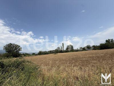 Photo 6,Εξωτερική,ΠΏΛΗΣΗ,Γη,Αγροτεμάχιο,11495τ.μ,€100,000,Σέρρες