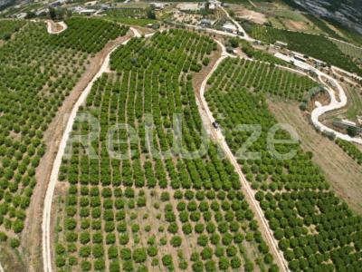 Photo 2,Εξωτερική,ΠΏΛΗΣΗ,Γη,Αγροτεμάχιο,57478τ.μ,€220,000,Κουτσοπόδι