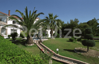 Photo 4,Κήπος,ΕΝΟΙΚΊΑΣΗ,Επαγγελματικό,Ξενοδοχείο,966τ.μ,€805,000,Ζάκυνθος