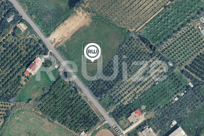 Photo 5,Εξωτερική,ΕΝΟΙΚΊΑΣΗ,Γη,Αγροτεμάχιο,3926τ.μ,€16,000,Ευηνοχώρι