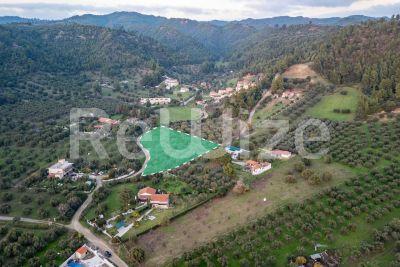 Photo 3,Εξωτερική,ΠΏΛΗΣΗ,Γη,Αγροτεμάχιο,5032τ.μ,€79,000,Νέα Σκιώνη