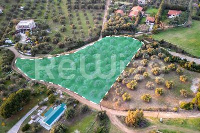 Photo 2,Κήπος,ΠΏΛΗΣΗ,Γη,Αγροτεμάχιο,5032τ.μ,€79,000,Νέα Σκιώνη