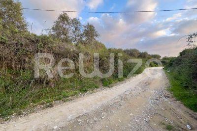 Photo 5,Εξωτερική,ΠΏΛΗΣΗ,Γη,Αγροτεμάχιο,5032τ.μ,€79,000,Νέα Σκιώνη