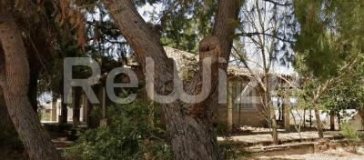 Photo 6,Κήπος,ΕΝΟΙΚΊΑΣΗ,Κατοικία,Μονοκατοικία,205τ.μ,€149,000,Ζάκυνθος