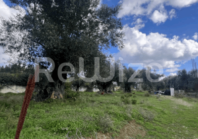 Photo 1,Πανοραμική Θέα,ΕΝΟΙΚΊΑΣΗ,Γη,Αγροτεμάχιο,1040τ.μ,€94,000,Ζάκυνθος