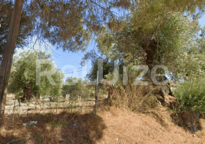 Photo 2,Κήπος,ΕΝΟΙΚΊΑΣΗ,Γη,Αγροτεμάχιο,1040τ.μ,€94,000,Ζάκυνθος