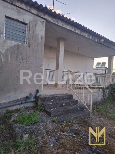 Photo 6,Εξωτερική,ΠΏΛΗΣΗ,Κατοικία,Μονοκατοικία,90τ.μ,€54,000,Λειβαδιά