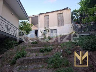 Photo 1,Εξωτερική,ΠΏΛΗΣΗ,Κατοικία,Μονοκατοικία,90τ.μ,€54,000,Λειβαδιά