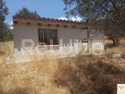 Photo 5,Εξωτερική,ΠΏΛΗΣΗ,Γη,Αγροτεμάχιο,5794τ.μ,€246,000,Κρανίδι