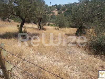 Photo 1,Εξωτερική,ΠΏΛΗΣΗ,Γη,Αγροτεμάχιο,5794τ.μ,€246,000,Κρανίδι