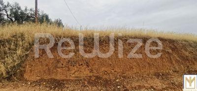 Photo 6,Εξωτερική,ΠΏΛΗΣΗ,Γη,Αγροτεμάχιο,2750τ.μ,€30,000,Άγιος Μάμας