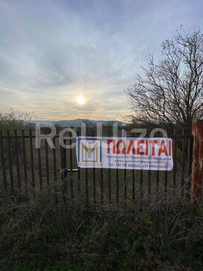Photo 10,Εξωτερική,ΠΏΛΗΣΗ,Γη,Οικόπεδο,12681τ.μ,€45,000,Κέντρο Κιλκίς