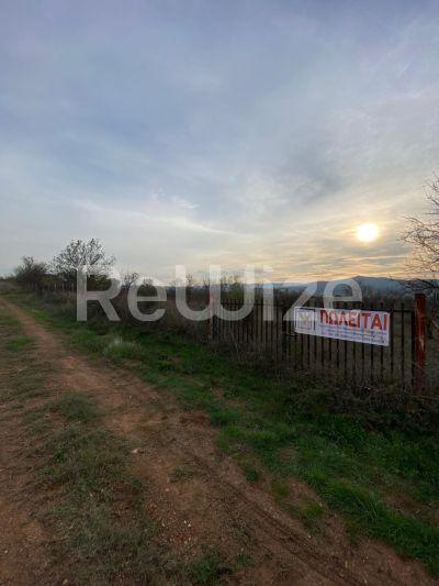Photo 6,Εξωτερική,ΠΏΛΗΣΗ,Γη,Οικόπεδο,12681τ.μ,€45,000,Κέντρο Κιλκίς