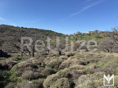 Photo 1,Εξωτερική,ΠΏΛΗΣΗ,Γη,Οικόπεδο,4000τ.μ,€187,000,Όρκος