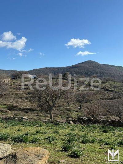 Photo 2,Εξωτερική,ΠΏΛΗΣΗ,Γη,Οικόπεδο,4000τ.μ,€187,000,Όρκος
