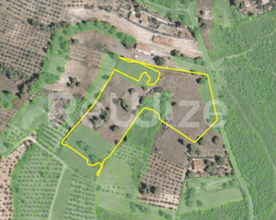 Photo 1,Εξωτερική,ΕΝΟΙΚΊΑΣΗ,Γη,Αγροτεμάχιο,18817τ.μ,€245,000,Καπανδρίτι